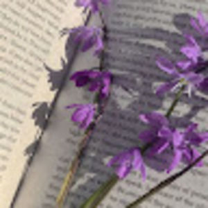 Meet your Posher, Rohan